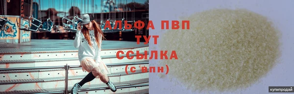 прущие грибы Балабаново