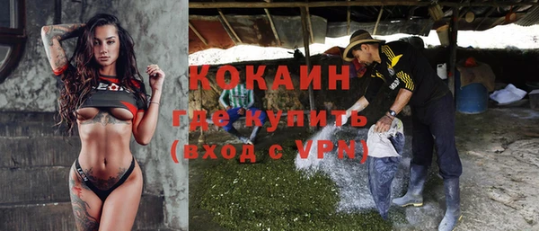 молекула духа Балахна