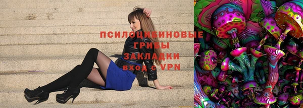 прущие грибы Балабаново