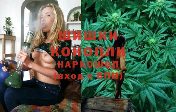 молекула духа Балахна