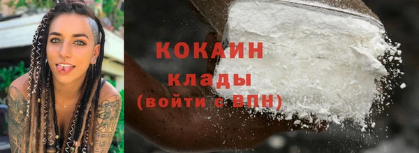 молекула духа Балахна