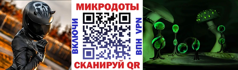 hydra ТОР  Серов  Псилоцибиновые грибы мухоморы 